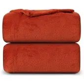 Bestlivings Kuscheldecke Mikrofaser Flausch 220x240cm - Terrabraun