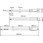 Casanoov Flügeltor Elektrisch Eiger 300x160cm Weiß & Drehtorantrieb Tanker B250