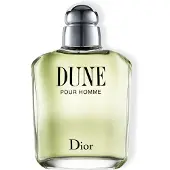 Dior Dune Pour Homme Eau de Toilette 100 ml
