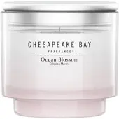 Chesapeake Bay Ocean Retreat 127g