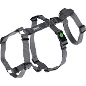 Kerbl Miami Hundegeschirr Grau 15 mm x 38-52 cm Grau 15 mm x 38-52 cm