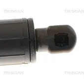 TRISCAN Gasfeder, Koffer-/Laderaum 871024304 für OPEL