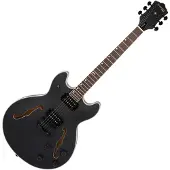 Northstar Tanglewood Pro „NSP5BK" Halbresonanz-Gitarre schwarz Open Pore