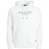 Jack & Jones Bluarchie Kapuzenpullover