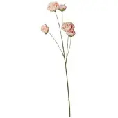 Möbel Kraft Deko Peonie ¦ orange ¦ Kunststoff ¦ Maße (cm): H: 110