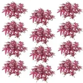 Creativ Green künstliche Pflanze Ahornblätter 24/Poly, fuchsia, 12er Set