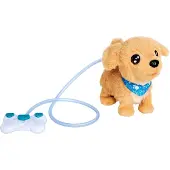 Simba CCL Loomy, Golden Retriever