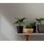 Marburg Vliestapete "Simplicity Serenade" einfarbig moderne Tapete für Wohnzimmer Schlafzimmer Küche