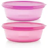 OEM Geschlossener, leckfreier, 600 ml Lebensmittelbehälter (Lila)