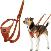 Halti Erziehungsgeschirr No Pull Harness Burnt Orange, Größe: XS