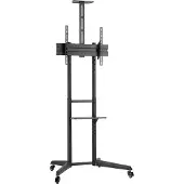 Ewent Displayständer Ew1539 Mit Rollen