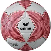 Erima Ball SENZOR-STAR lite 290
