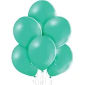 Belbal Öko-Ballons Forest Green 100 Stück