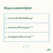 Salus Floradix Eisen plus B12 vegan Kapseln 2x 2x40 St