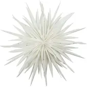House Doctor - Dus Star 40 cm