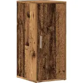 vidaXL Dior 2x shoe cabinet with door
