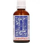 Hismith Premium Pharmquests *Chinabrush* 0,05 l Serum
