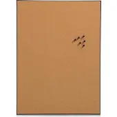 Zeller Present Pinnwand Kork 43.2x58.4 cm