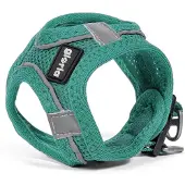 Big Buy Cooking Geschirr für Perro Gloria Trek Star 24-26 cm 28-28,6 cm Türkis XXS