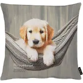 Apelt Dekokissen "Buddy" Lieblings-Hundebaby