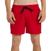 Quiksilver Badeshorts EVERYDAY VOLLEY 15 herren