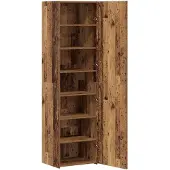 vidaXL Highboard Altholz 50 x 42,5 x 185 cm