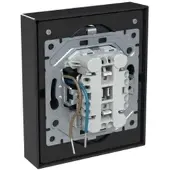 Busch-Jaeger 202EUJRB2USBC-81 SCHUKO USB-Doppelsteckdose Safety+ mit 2x USB C 2TKA00006019 202EUJRB2USBC81