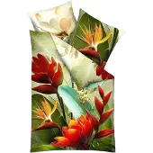 Kaeppel Mako-Satin Bettwäsche Bird of Paradise bunt 135x200 cm + 80x80 cm