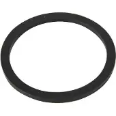 Bestway Ersatzteil O-Ring (Wasserzulauf) für LAY-Z-SPA HydroJet Pro Whirlpools (2021/22)
