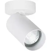 Licht-Erlebnisse Deckenstrahler Weiß 1-flammig GU10 Ø 7 cm schwenkbar Metall Deckenlampe