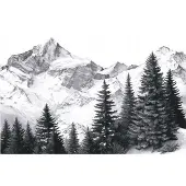 WALLARENA FOTOTAPETE Gebirge Wald Schwarzweiß 350x250 cm