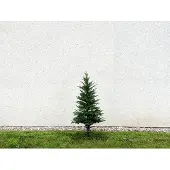 Outgarden Grün 150 cm Künstlicher Weihnachtsbaum Nordmanntanne Noble