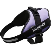 JULIUS K-9 IDC Powergeschirr lila, Größe: 3 / XL