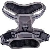 Companion no-pull dog harness - M