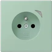JUNG BT LC 1521 F SE 217 HOME Steckdose Energy französisch/belgisches