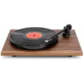 Rega Planar 1 Plus, walnuss