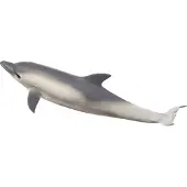 Small Foot Mojo Fun Common Dolphin (Portugal), 3 Jahr(e), SEALIFE, Grau, Weiß, Polyvinylchlorid (PVC)
