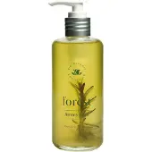 Jimmy Boyd Fresh Fragance Forest 25 ml Eau de Toilette