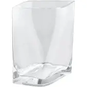 Blomus Vase Duasis Clear S
