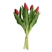 Möbel Kraft Tulpenbund 5fach ¦ rot ¦ Kunststoff,Metall ¦ Maße (cm): H: 32