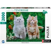 Nathan – 2000-teiliges Puzzle – Sibirische Kätzchen – Ab 14 Jahren – Hochwertiges Puzzle – Kollektion „Zärtlichkeit“ – 12001868