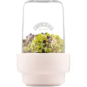 Kilner Aufbewahrungsglas für Sprossen, 0,5 Liter transparent/ weiß/ silber