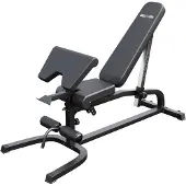 Gorilla Sports Hantelbank - Multifunktion, 13-fach Verstellbar, 151 x 63 x 114 cm, mit Curlpult und Beinhalterung, aus Stahl, Schwarz - Trainingsbank, Flachbank, Schrägbank, Bankdrücken, Fitnessbank