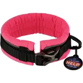 Sprenger Padded Hundehalsband
