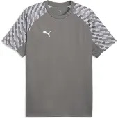 Puma teamLIGA26 Trikot grauweiss, 2XL Herren