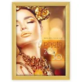 Zep Bilderrahmen WT23G Wales Gold 20x30 cm