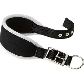 Ferplast Ergocomfort 20 Mm 39 Cm Collar Schwarz 20 mm 39 cm