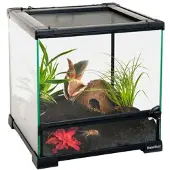 HabiStat Transparentes Glasterrarium