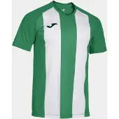 Joma Inter IV Trikot Kurzarm Herren - Grün / Weiß