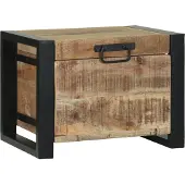 vidaXL Aufbewahrungs-Truhen Braun 40 x 30 x 30 cm Massivholz Mango